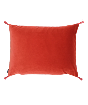 Coussin Smooth Roobios Comment ça marche