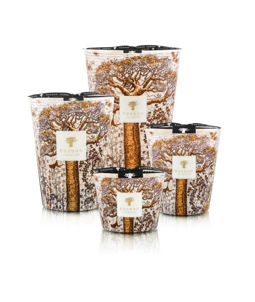 BOUGIE PARFUMÉE SACRED TREES DUALLA en stock