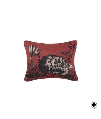 Coussin Bestiaire Tortue la colonne vertébrale