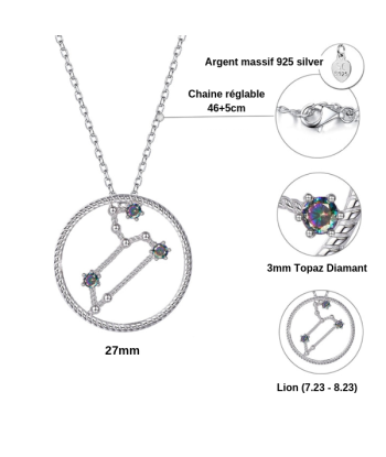 Collier Signe Astrologique Lion Argent une grave pollution 