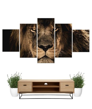 Tableau Lion Couleur Sauvage Le MVP de beaucoup