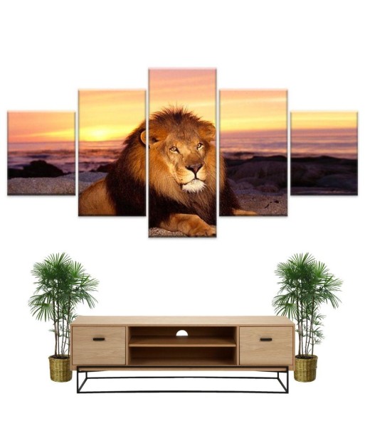 Tableau Lion Coucher de Soleil Venez découvrir notre 