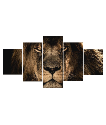 Tableau Lion Couleur Sauvage Le MVP de beaucoup