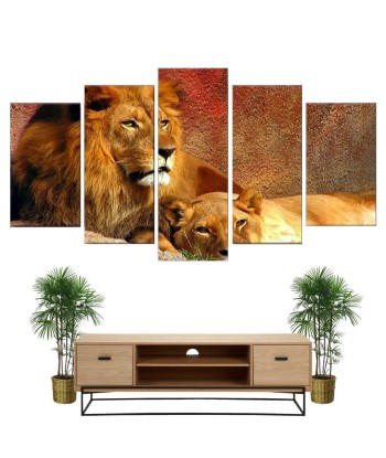 Tableau Lion et Lionne Couleurs prix pour 