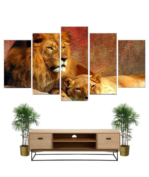 Tableau Lion et Lionne Couleurs prix pour 