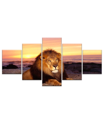 Tableau Lion Coucher de Soleil Venez découvrir notre 