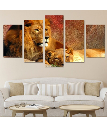 Tableau Lion et Lionne Couleurs prix pour 