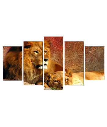 Tableau Lion et Lionne Couleurs prix pour 