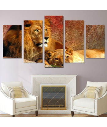 Tableau Lion et Lionne Couleurs prix pour 