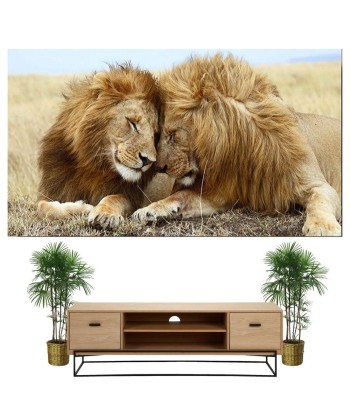 Tableau Lion Couleur Jumeaux store