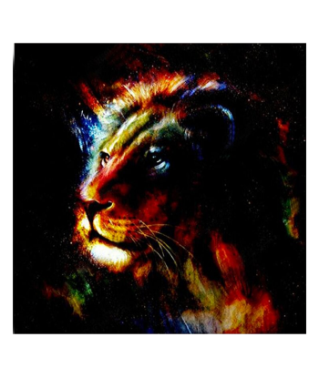 Tableau Lion Coloré Toutes les collections ici