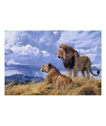 Tableau Lion Lionne en stock