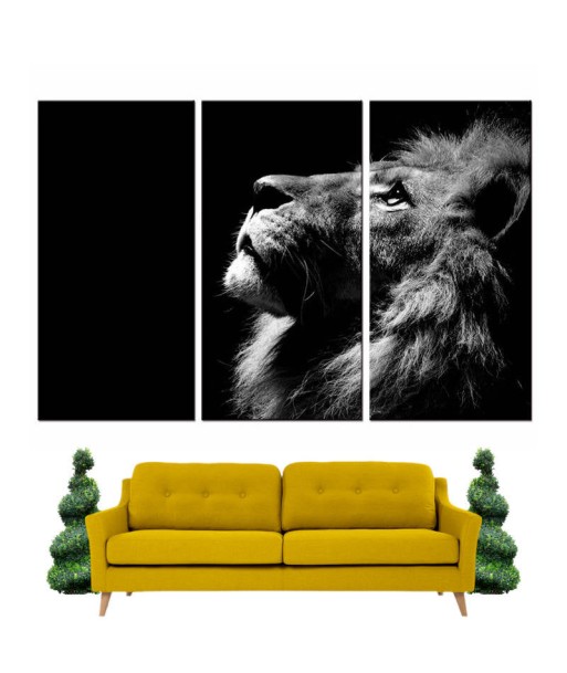 Tableau Lion Noir Et Blanc Inspiration du meilleur 