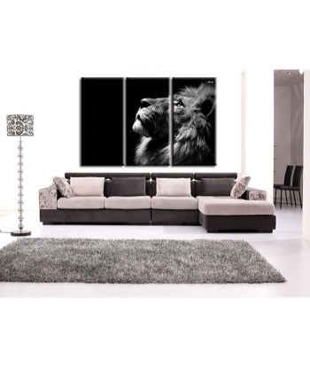 Tableau Lion Noir Et Blanc Inspiration du meilleur 