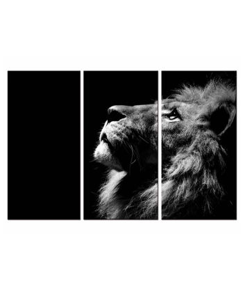 Tableau Lion Noir Et Blanc Inspiration du meilleur 