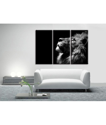 Tableau Lion Noir Et Blanc Inspiration du meilleur 