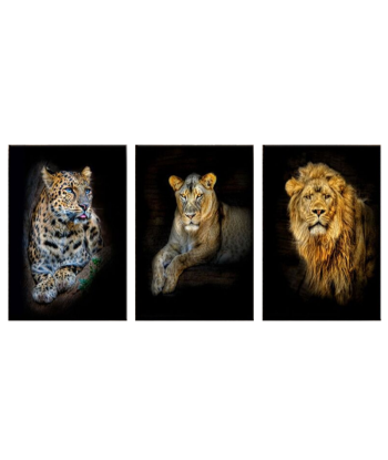 Tableaux Lion Lionne Jaguar en linge