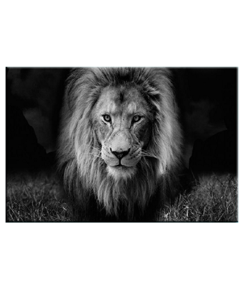 Tableau Lion Noir et Blanc Intouchable Pour