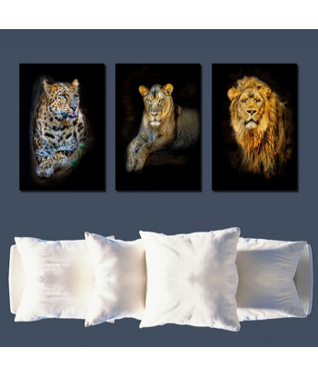 Tableaux Lion Lionne Jaguar en linge