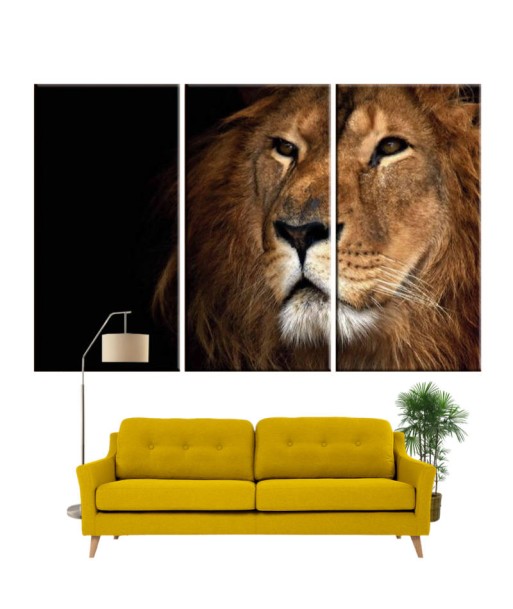 Tableau Lion Portrait de la marque