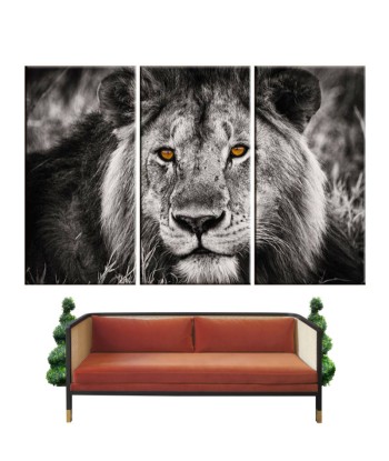 Tableau de Lion Noir et Blanc ou a consommer sur place