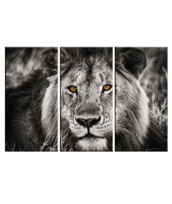 Tableau de Lion Noir et Blanc ou a consommer sur place