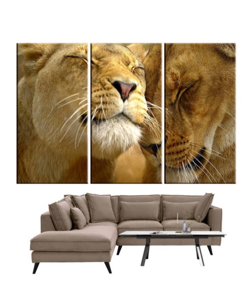 Tableau Lion et Lionne Douceur pas cher