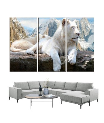 Tableau Lion Blanc offre 