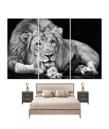 Tableau Lion Noir et Blanc Couché en stock