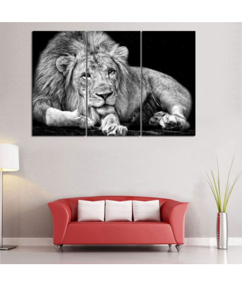 Tableau Lion Noir et Blanc Couché en stock