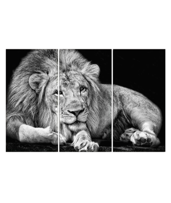 Tableau Lion Noir et Blanc Couché en stock