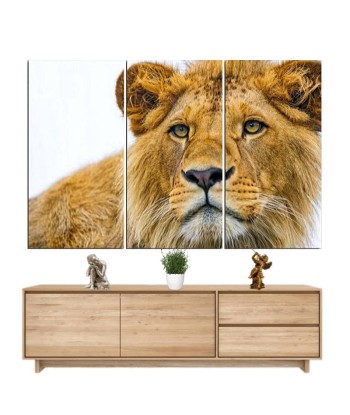 Tableau Lion Redoutable Amélioration de cerveau avec