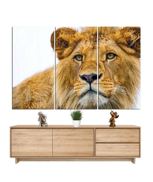 Tableau Lion Redoutable Amélioration de cerveau avec