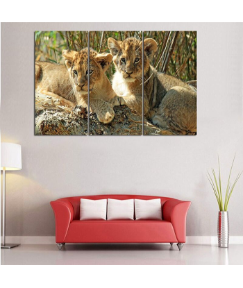 Tableau Lionceaux commande en ligne