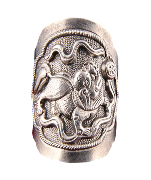 Lion Bague en Argent En savoir plus