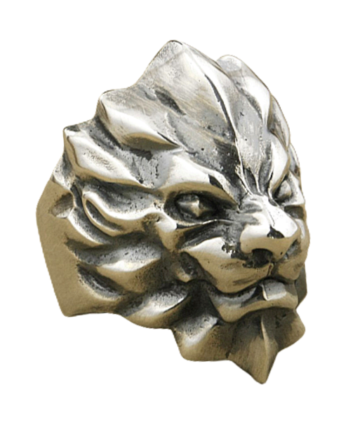 Bague en Argent Homme avec Lion Solaire brillant des détails fins