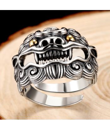 Bague Argent Tête de Lion sélection de produits