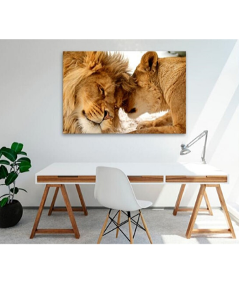 Tableau Lion Lionne Couleurs Dans la société mordern