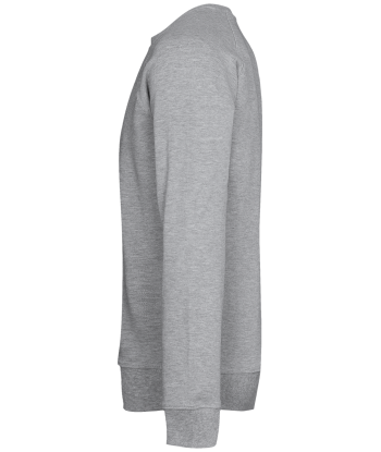 Sweat Shirt BRUT Gris en ligne des produits 