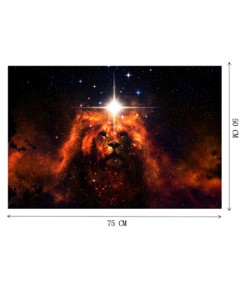 Puzzle LionConstellation 1000 Pièces paiement sécurisé