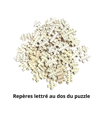 Puzzle LionConstellation 1000 Pièces paiement sécurisé