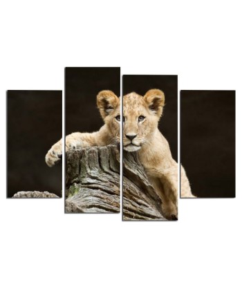 Tableau Jeune Lion votre restaurant rapide dans 