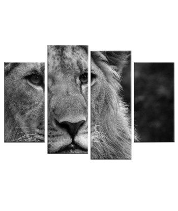 Tableau Noir et Blanc Lion meilleur choix