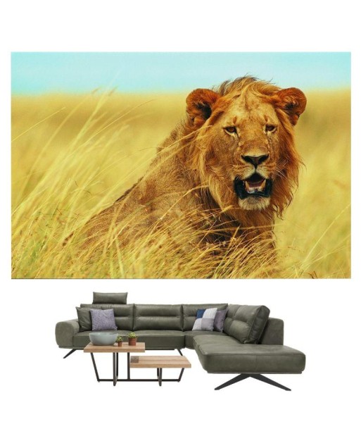 Tableau Lion Savane acheter