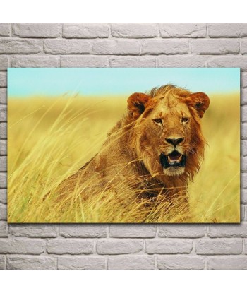 Tableau Lion Savane acheter