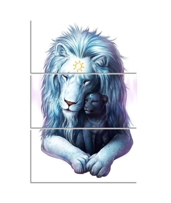 Tableau Lion Blanc Lion Noir s'inspire de l'anatomie humaine