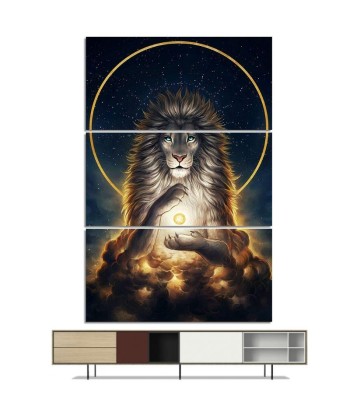 Tableau Lion Illusion français