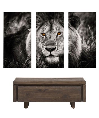 Tableau Tête de Lion Noir et Blanc Véritable concentré