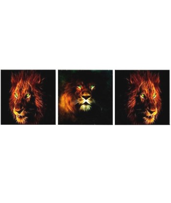 Tableau Lion Triplé soldes