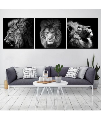 Tableau Lion Noir et Blanc 3 Pièces Véritable concentré